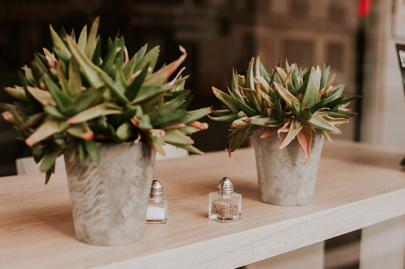 Two potted plants in matching concrete pots on a pale wooden shelf
